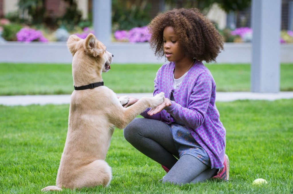 movie-review-annie-2014