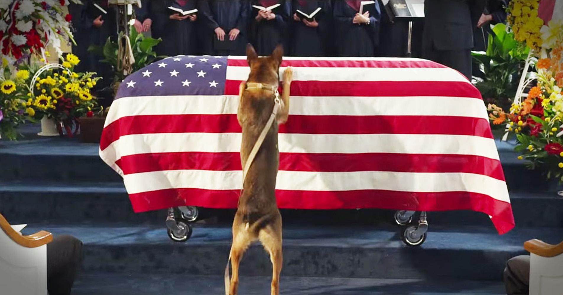 Touching film on military working dog named ‘Max’