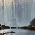 WATCH: 'The Jungle Book' teaser-trailer is here!